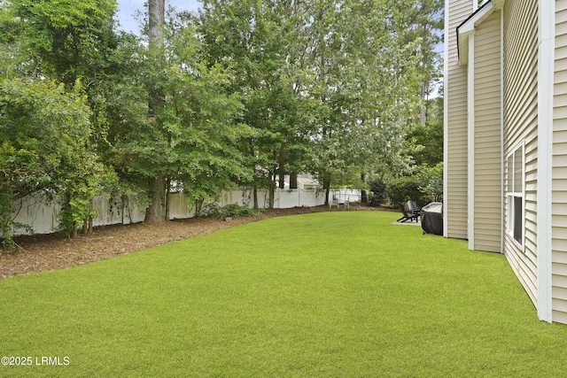 249 Hitching Post Cres, Bluffton, SC 29910 - view of yard