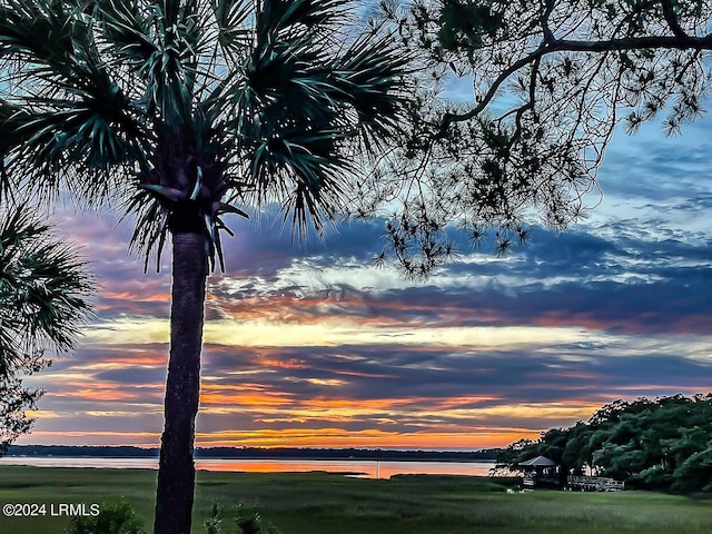 nature at dusk with a water view