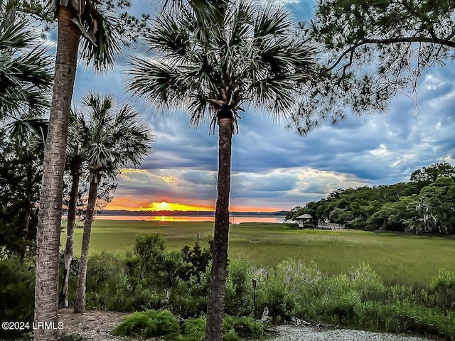 view of nature at dusk