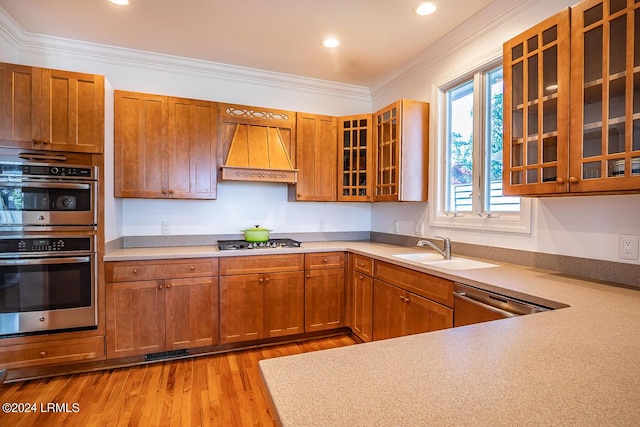 kitchen featuring sink, premium range hood, stainless steel appliances, ornamental molding, and light hardwood / wood-style floors