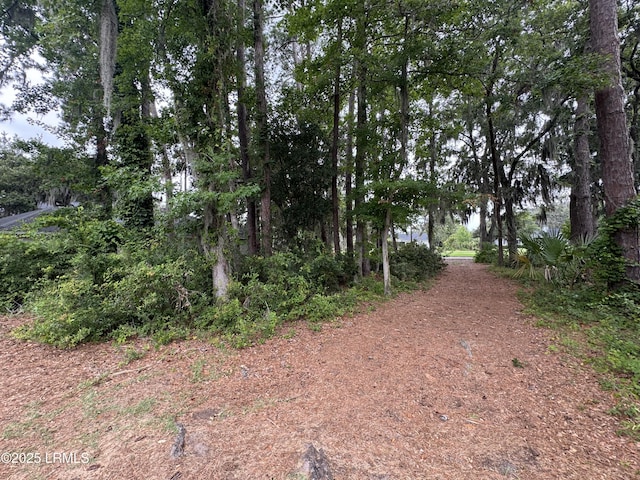 58 S Boone Rd, Saint Helena Island, SC 29920 - photo 3