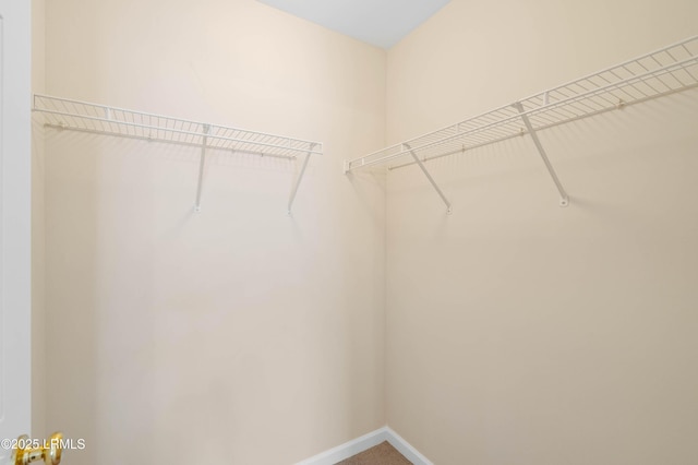 16 Maidencane St, Bluffton, SC 29910 - walk in closet with carpet
