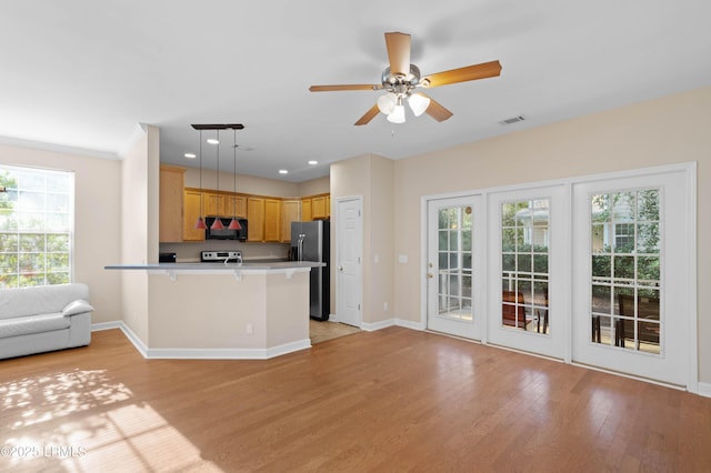 16 Maidencane St, Bluffton, SC 29910 - kitchen featuring stainless steel appliances, open floor plan, a peninsula, light wood finished floors, and healthy amount of natural light