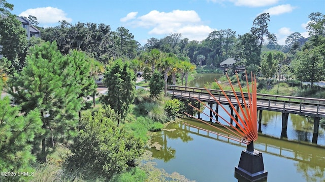 15 S Forest Beach Dr Unit 1D, Hilton Head Island, SC 29928 - dock area featuring a water view and view of scattered trees