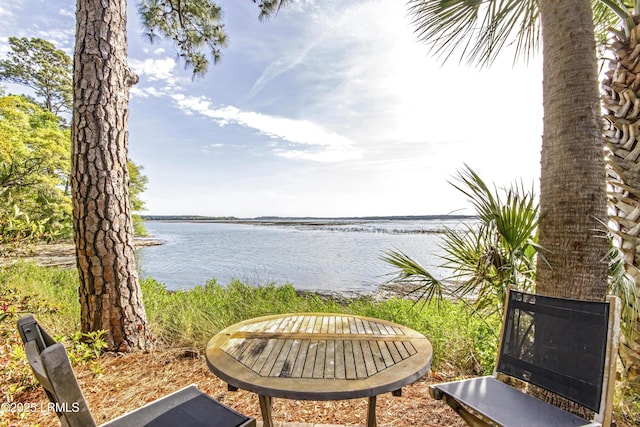 71 Peninsula Dr, Hilton Head Island, SC 29926 - water view