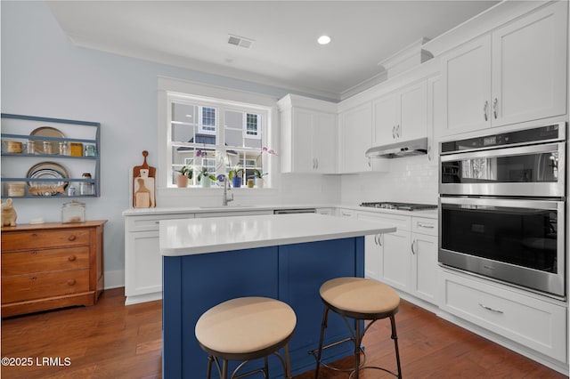 33 Paxton Cir, Bluffton, SC 29910 - kitchen featuring double oven, gas stovetop, under cabinet range hood, light countertops, and a sink