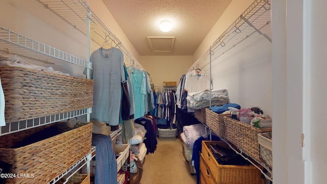 walk in closet featuring carpet floors