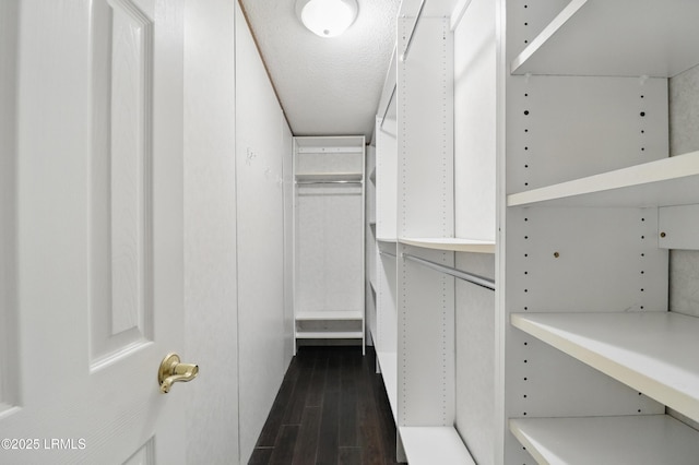 41 Able St, Bluffton, SC 29910 - spacious closet featuring dark wood-style floors