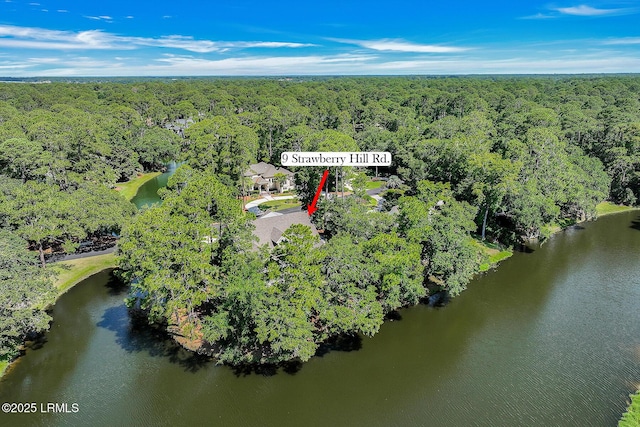 9 Strawberry Hill Rd, Hilton Head Island, SC 29928 - photo 3