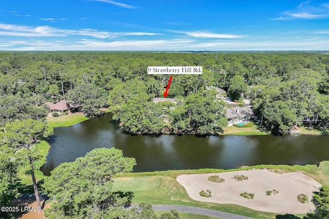 9 Strawberry Hill Rd, Hilton Head Island, SC 29928 - photo 4