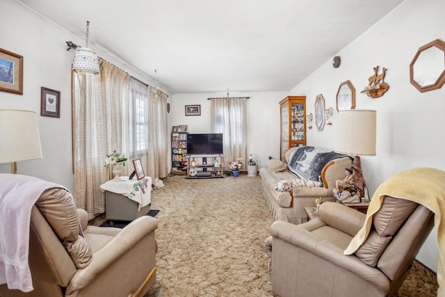 living room featuring carpet flooring