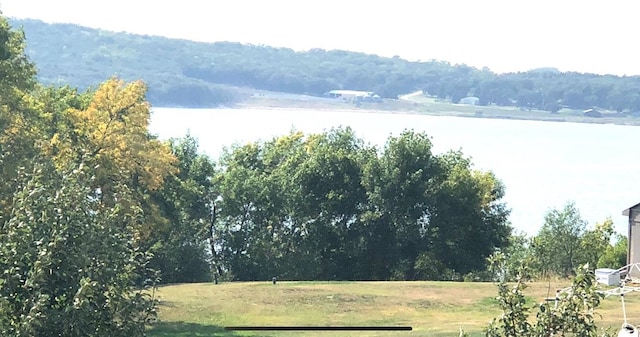 property view of water with a view of trees
