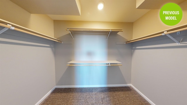 spacious closet with carpet