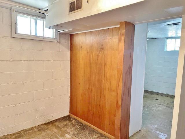 basement with a wealth of natural light and wood walls