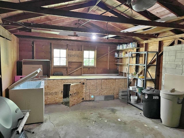 basement with wooden walls