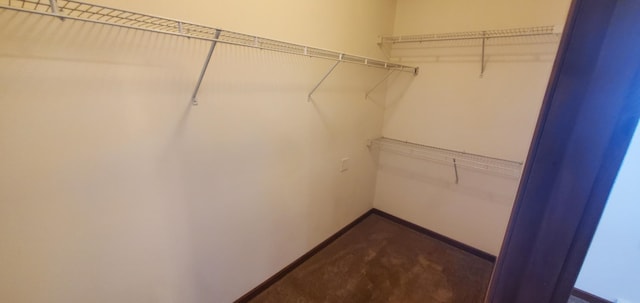 view of walk in closet