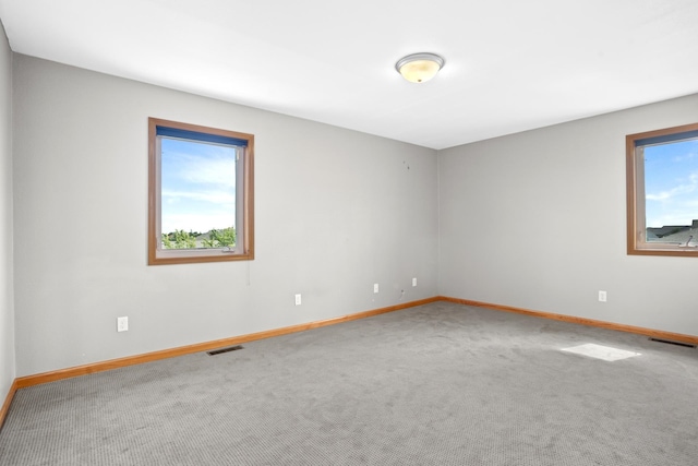 spare room with carpet flooring and a wealth of natural light