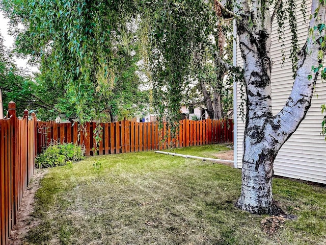 view of yard featuring a fenced backyard