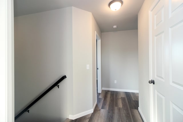 hall featuring dark hardwood / wood-style floors