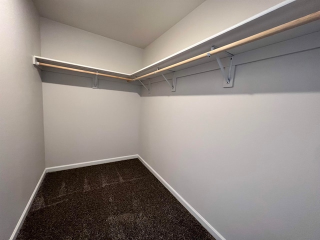 spacious closet with carpet