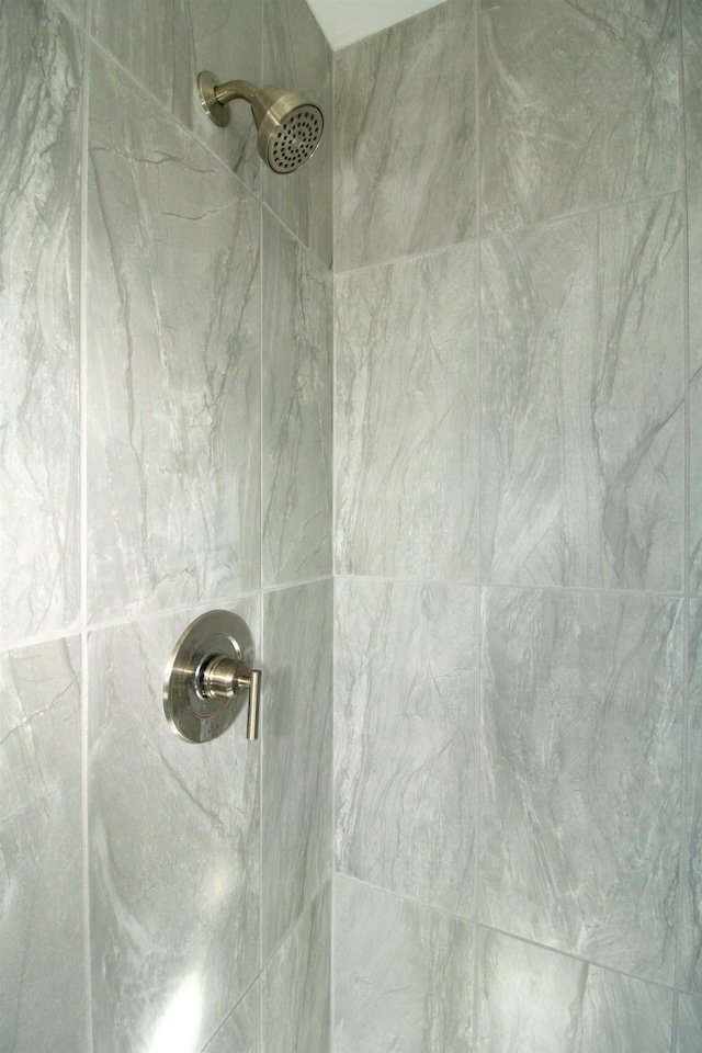 interior details with tiled shower