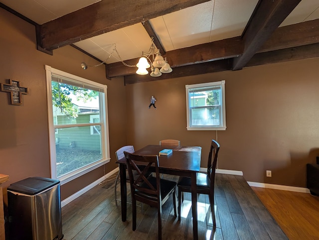 dining area featuring an inviting chandelier, dark hardwood / wood-style floors, and a wealth of natural light