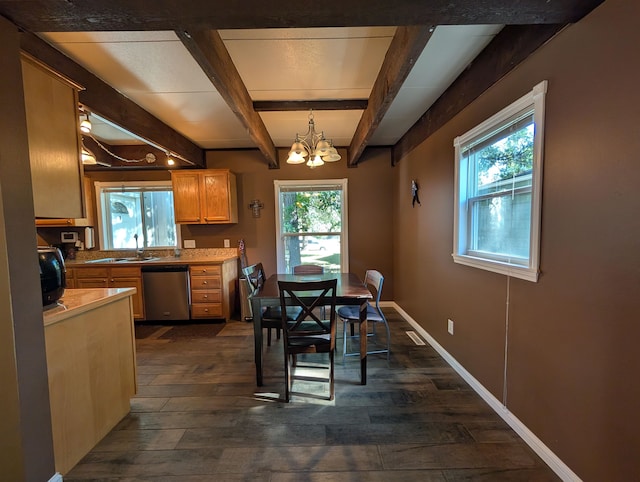 kitchen with dark hardwood / wood-style floors, beam ceiling, a healthy amount of sunlight, and stainless steel dishwasher