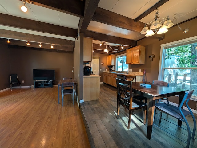 dining space featuring a notable chandelier, hardwood / wood-style floors, beamed ceiling, and a healthy amount of sunlight