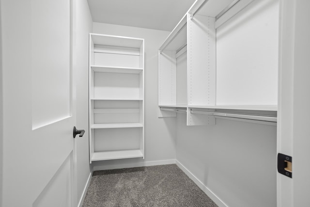 walk in closet featuring dark carpet