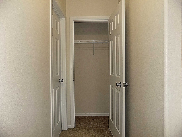 view of closet