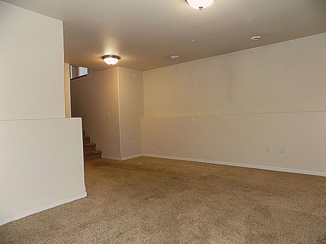 basement featuring carpet flooring