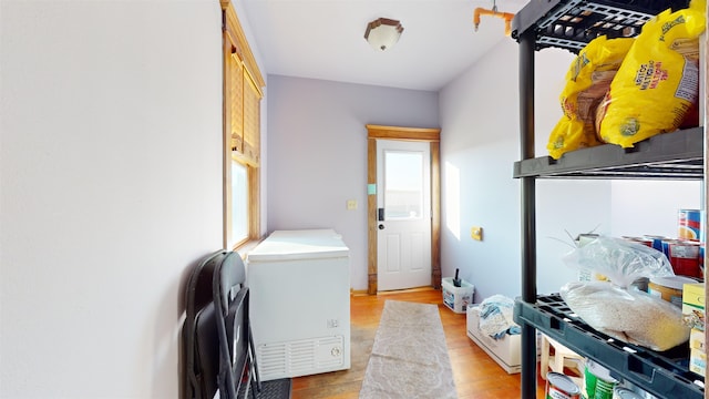 washroom featuring light wood-type flooring