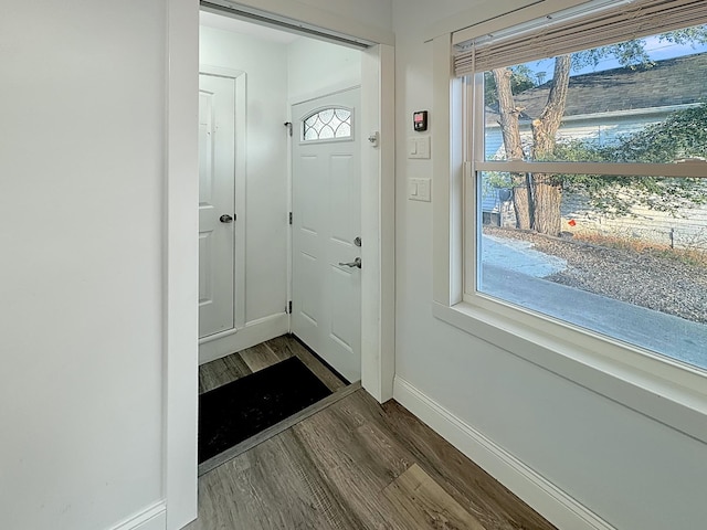 entryway featuring dark hardwood / wood-style floors