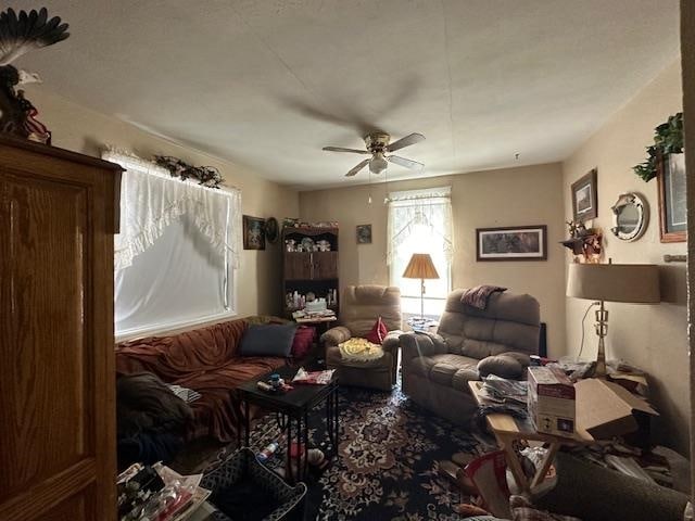 living room featuring ceiling fan