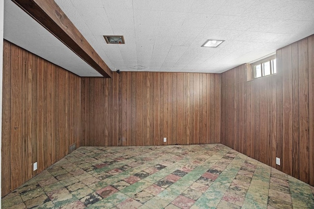 basement with wooden walls