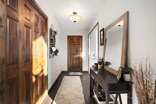 entryway featuring dark wood-type flooring