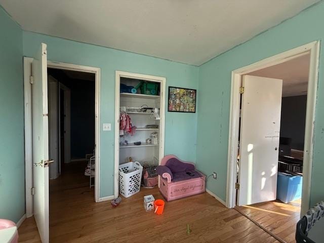 interior space with wood-type flooring and a closet