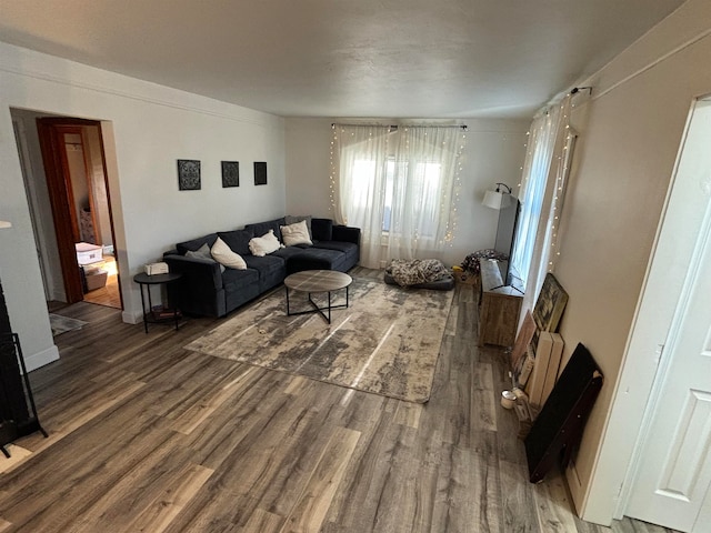 living area with wood finished floors