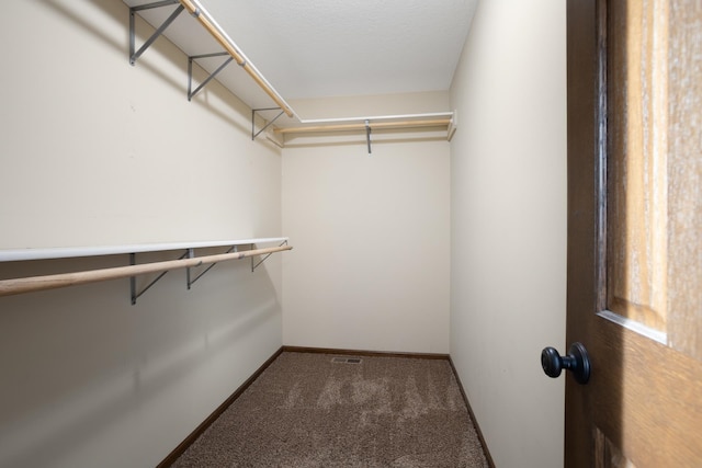 walk in closet featuring carpet floors