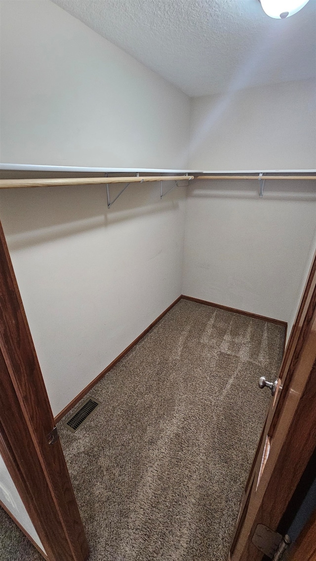 walk in closet featuring carpet flooring