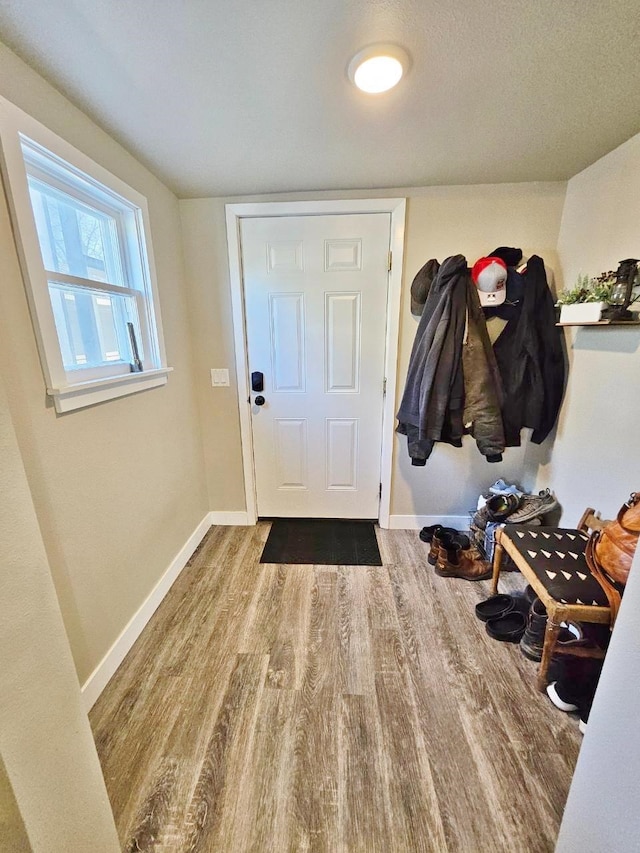 mudroom featuring hardwood / wood-style floors