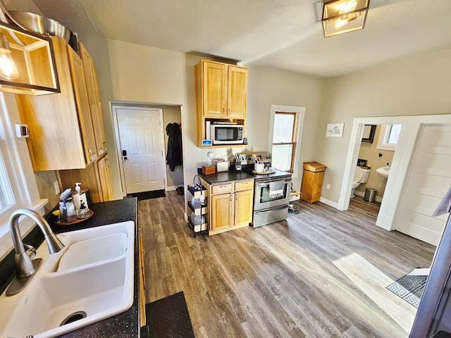 kitchen featuring hardwood / wood-style floors, sink, stainless steel appliances, and light brown cabinets