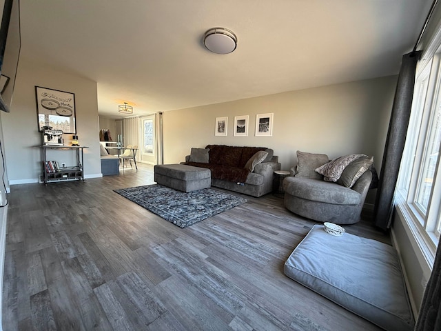 living room featuring hardwood / wood-style flooring and a wealth of natural light