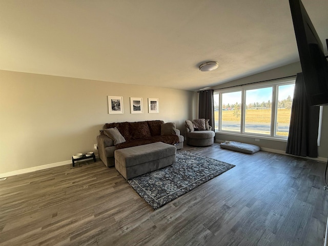 living room with dark hardwood / wood-style flooring and lofted ceiling