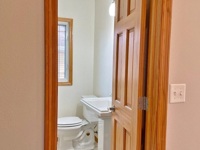 bathroom featuring toilet