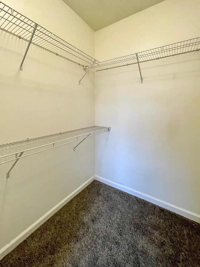 walk in closet featuring carpet