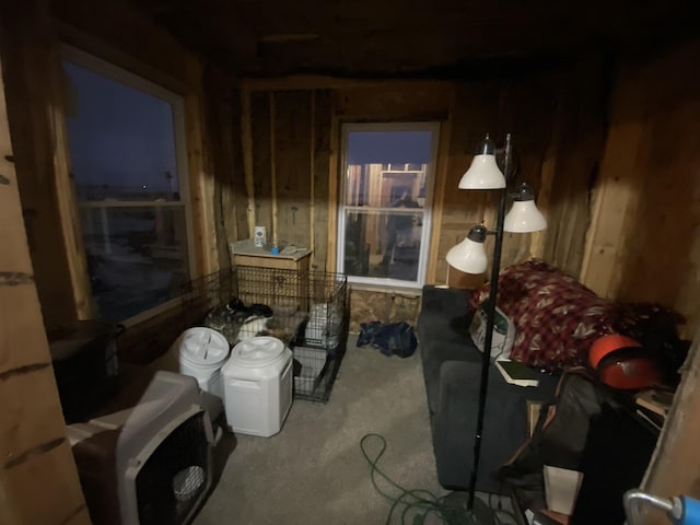 interior space with wood walls and carpet floors