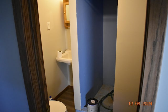 bathroom featuring hardwood / wood-style flooring