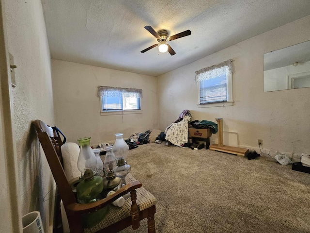 interior space featuring carpet flooring, ceiling fan, and a textured ceiling