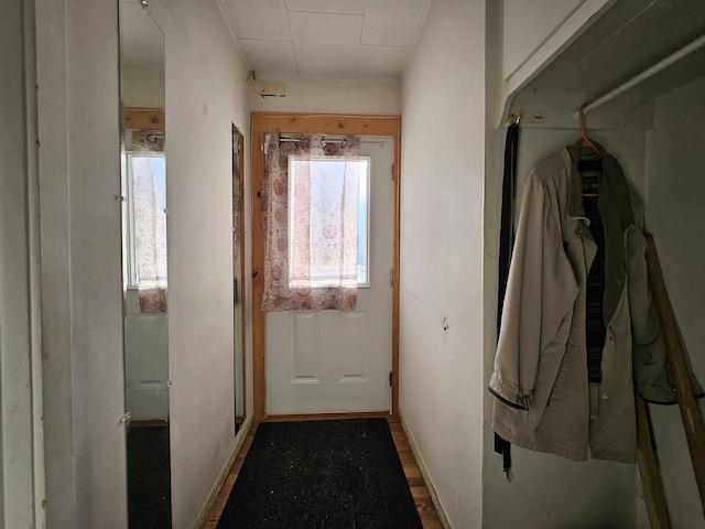 entryway with hardwood / wood-style flooring and a wealth of natural light